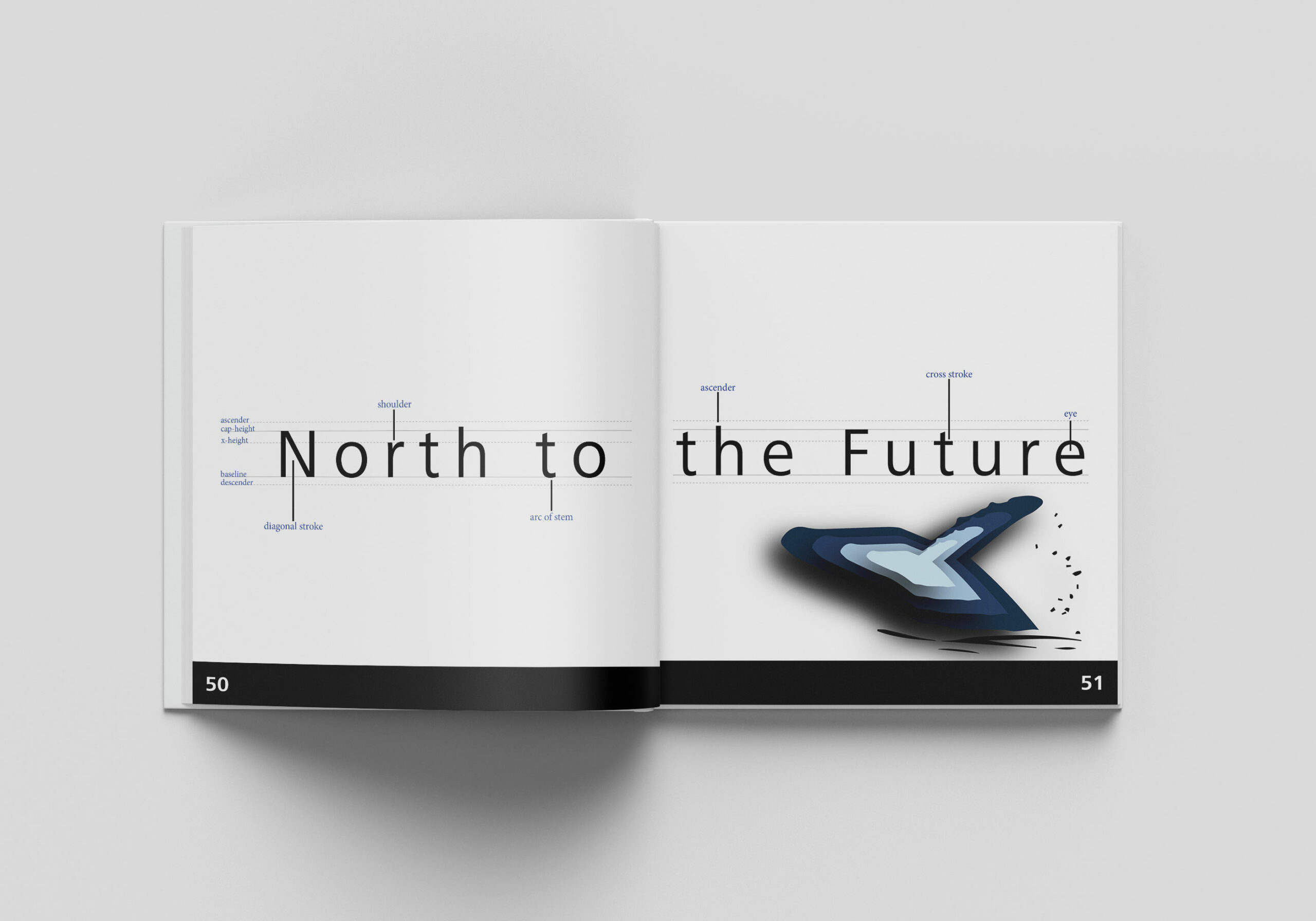 WHALE-Square_Book_Mockup_6